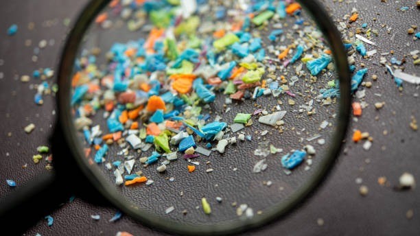 mikroplastik di ovarium, mikroplastik perempuan, dampak mikroplastik pada kesuburan, hormon FSH, kesehatan reproduksi wanita, plastik dalam tubuh, partikel mikroplastik, promil dan mikroplastik, endokrin disruptor